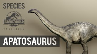 Apatosaurus  SPECIES PROFILE  Jurassic World Evolution [upl. by Iredale]