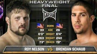 Roy Nelson vs Brendan Schaub TUF Season 10 Finale [upl. by Silloh460]