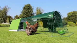 Eglu Go Instructions How To Build An Omlet Eglu Go Chicken Coop  Omlet Pet Products [upl. by Legge]