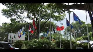 What is CARICOM [upl. by Ynney]