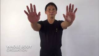 How To Instantly Improve Your Blood Flow amp Circulation [upl. by Aicelaf]